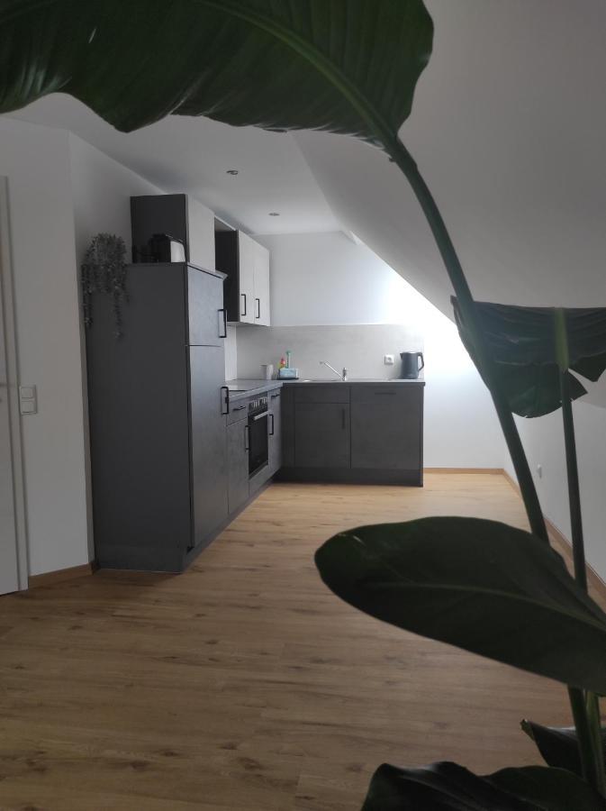 Ferienwohnung Im Distelweg Scheid  Εξωτερικό φωτογραφία