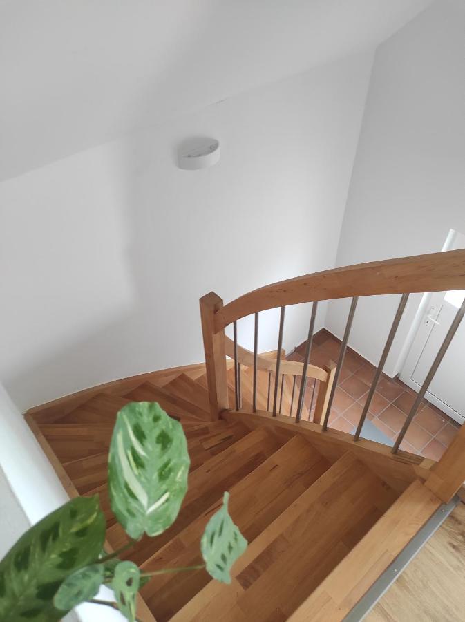 Ferienwohnung Im Distelweg Scheid  Εξωτερικό φωτογραφία